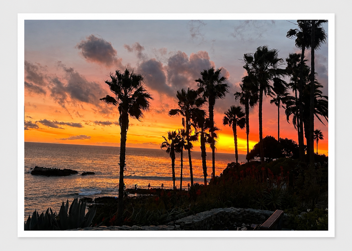 Fiery Palms